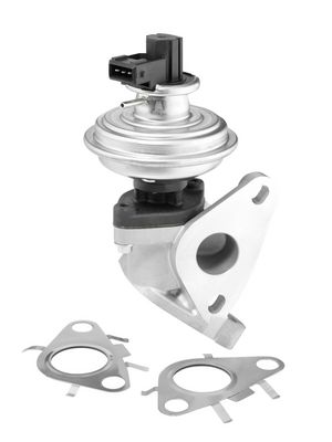 EGR Valve BorgWarner (Wahler) 712092D