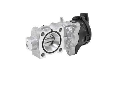 BorgWarner (Wahler) 72147557D EGR Valve