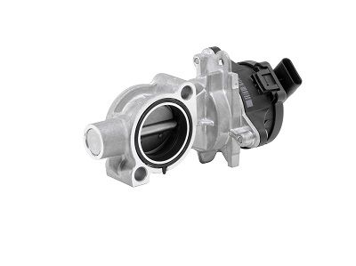 EGR Valve BorgWarner (Wahler) 72147558D