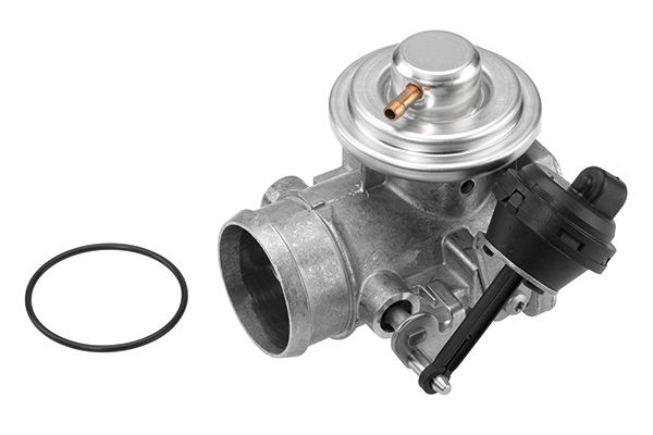 BorgWarner (Wahler) 7223D/1 EGR Valve