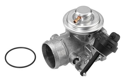 EGR Valve BorgWarner (Wahler) 7223D/1