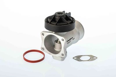 EGR Valve BorgWarner (Wahler) 7234D