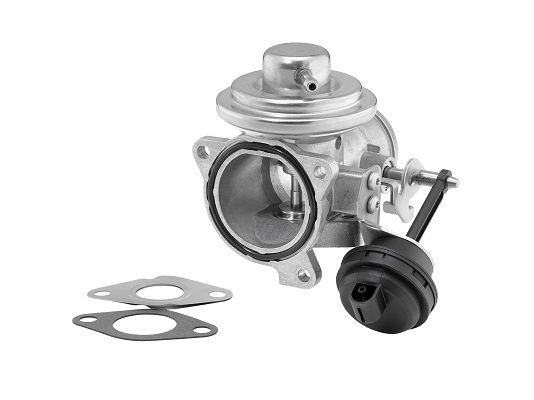 BorgWarner (Wahler) 7293D EGR Valve
