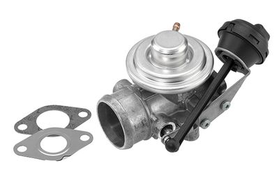 EGR Valve BorgWarner (Wahler) 7301D/1