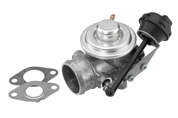 BorgWarner (Wahler) 7301D EGR Valve