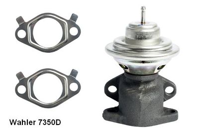 EGR Valve BorgWarner (Wahler) 7350D
