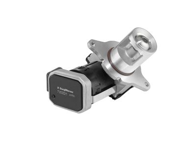 EGR Valve BorgWarner (Wahler) 7353D