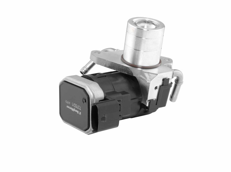 BorgWarner (Wahler) 7375D EGR Valve
