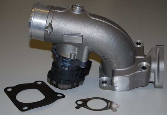 BorgWarner (Wahler) 7497D EGR Module
