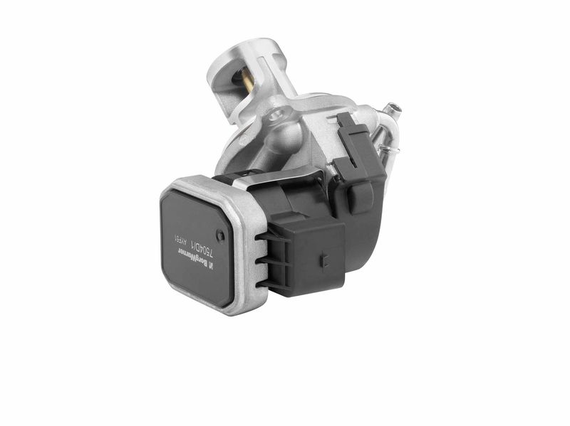 BorgWarner (Wahler) 7504D EGR Valve