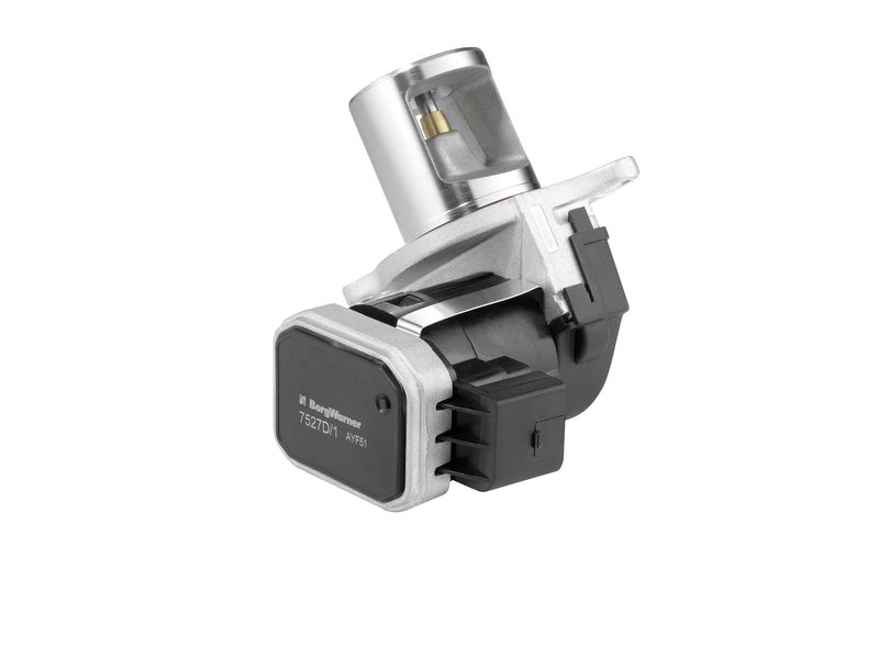 BorgWarner (Wahler) 7527D EGR Valve