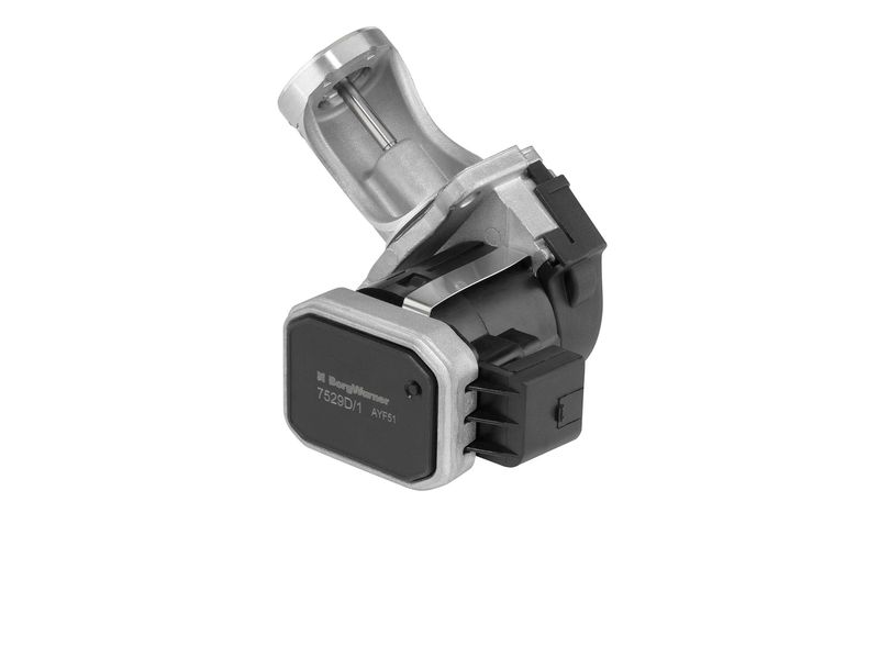 BorgWarner (Wahler) 7529D EGR Valve
