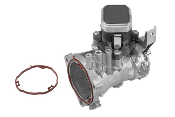 BorgWarner (Wahler) 7545D EGR Module