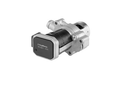 EGR Valve BorgWarner (Wahler) 7610D