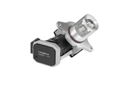 EGR Valve BorgWarner (Wahler) 7625D