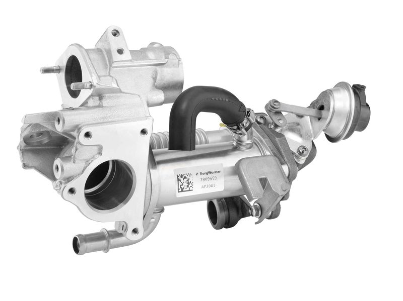 BorgWarner (Wahler) 790965D Cooling Module