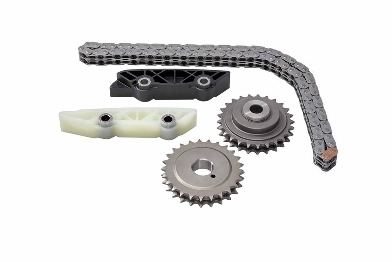 BorgWarner 59007150001 Timing Chain Kit