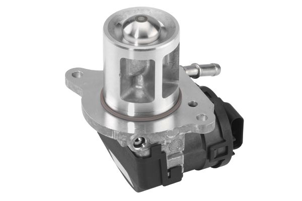 BorgWarner 710095D EGR Valve