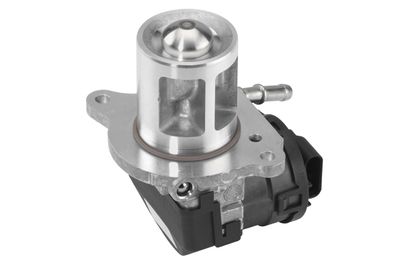 EGR Valve BorgWarner 710095D