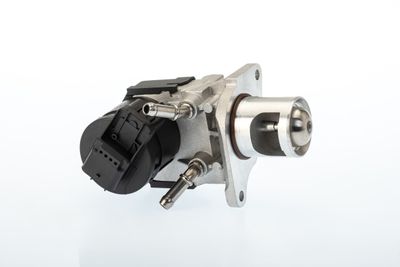 EGR Valve BorgWarner 710327D