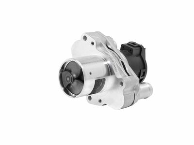 EGR Valve BorgWarner 710471D/1