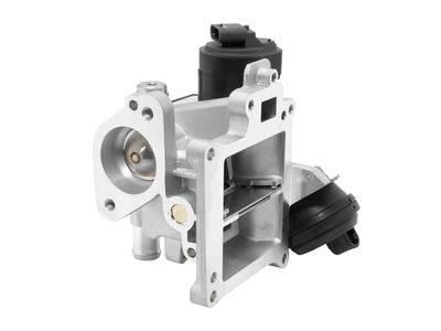 EGR Valve BorgWarner 710488D0