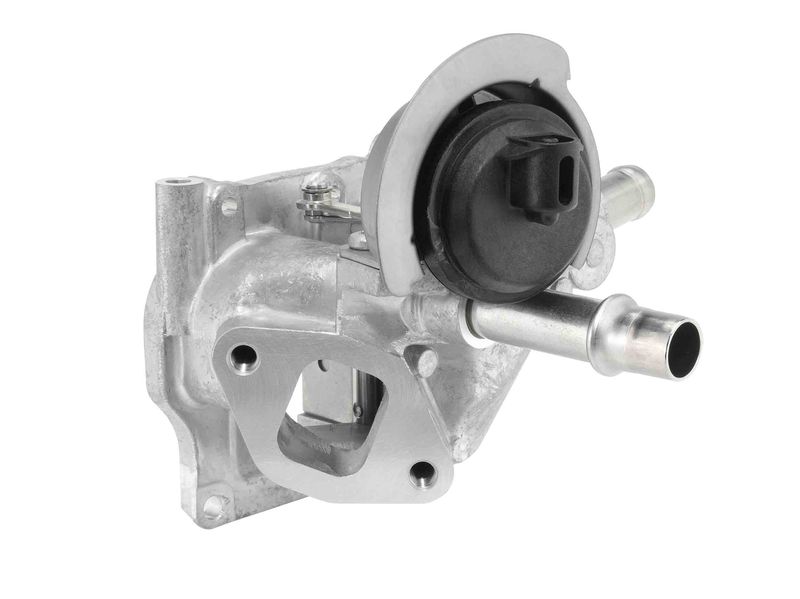 BorgWarner 710532D0 EGR Valve