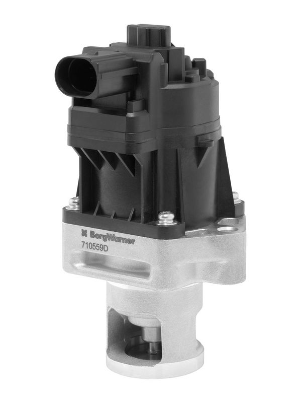 BorgWarner 710559D EGR Valve