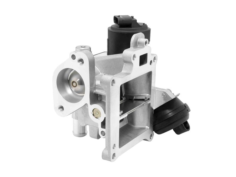 BorgWarner 710626D0 EGR Valve