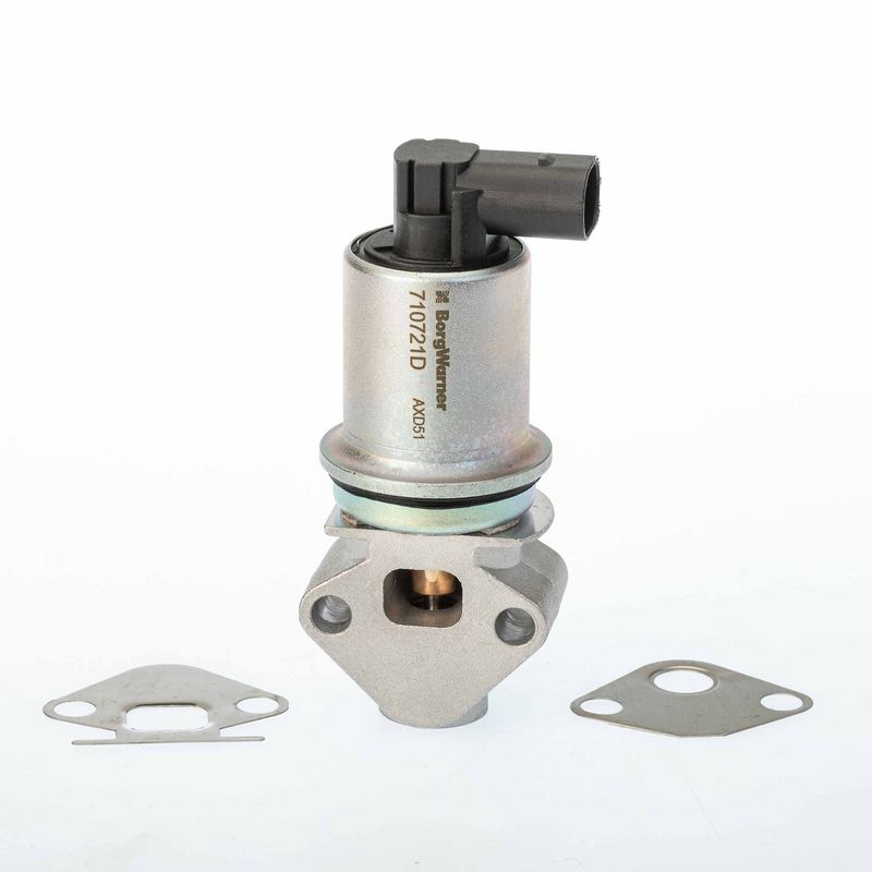 BorgWarner 710721D EGR Valve