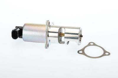 EGR Valve BorgWarner 710725D