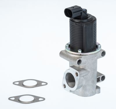 EGR Valve BorgWarner 710770D