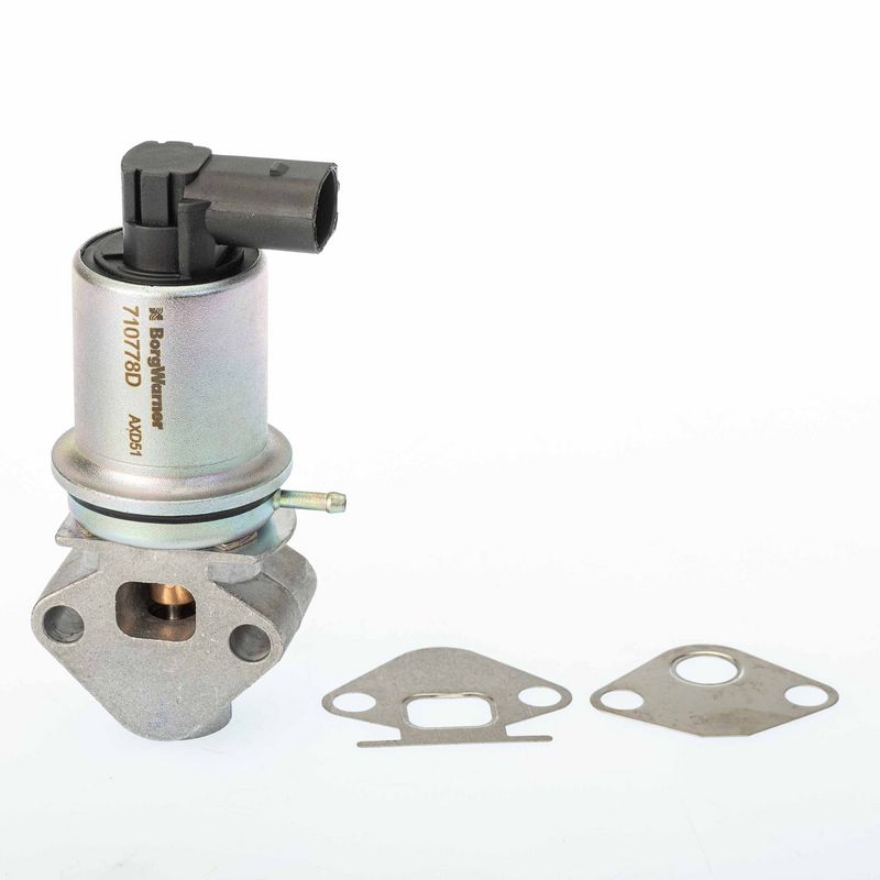 BorgWarner 710778D EGR Valve