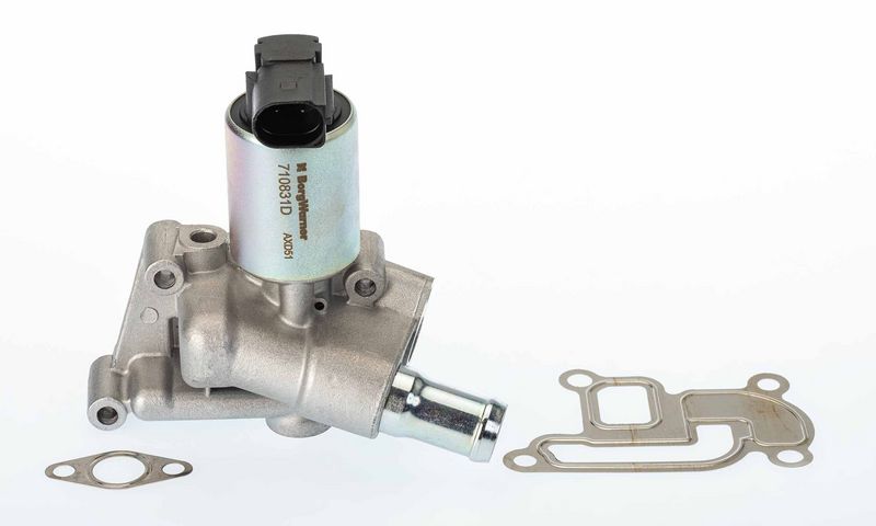 BorgWarner 710831D EGR Valve