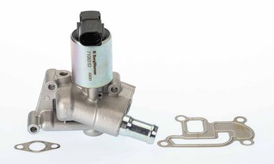 EGR Valve BorgWarner 710831D