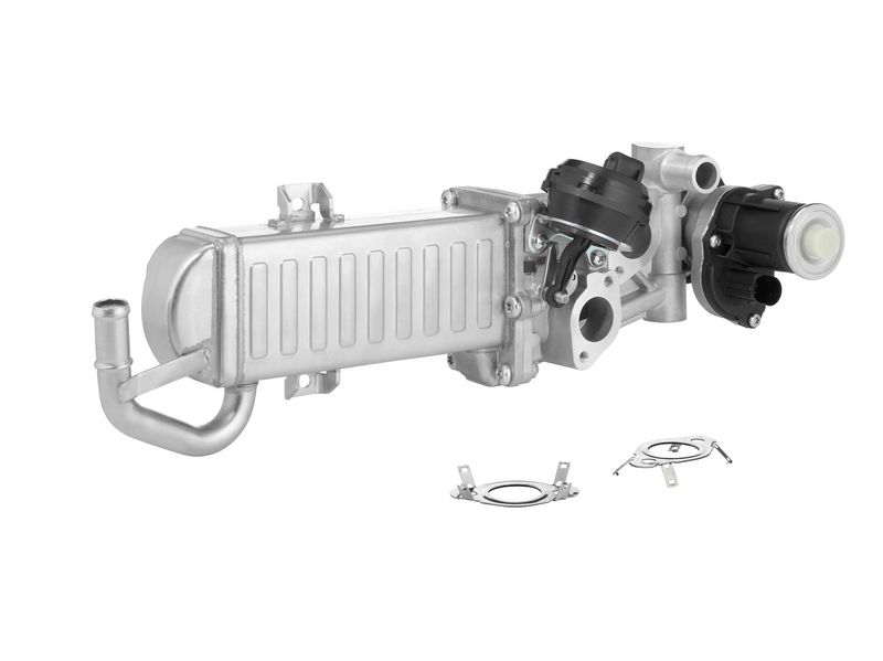 BorgWarner 710861D/1 EGR Module