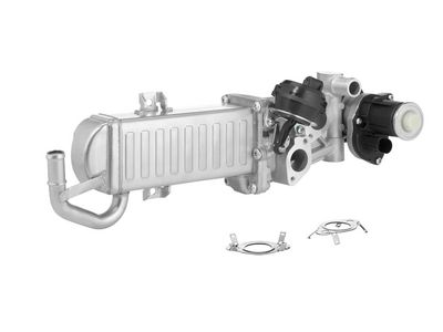 EGR Module BorgWarner 710861D/1