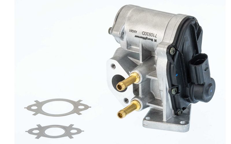 BorgWarner 710930D/1 EGR Valve