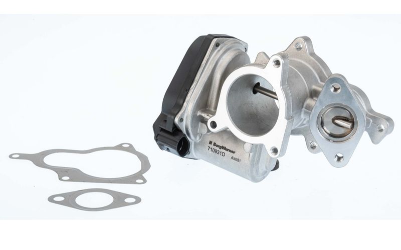 BorgWarner 710931D/1 EGR Valve