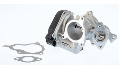 EGR Valve BorgWarner 710931D/1