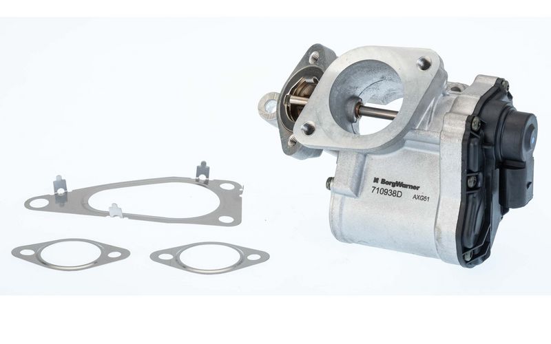 BorgWarner 710938D/1 EGR Valve