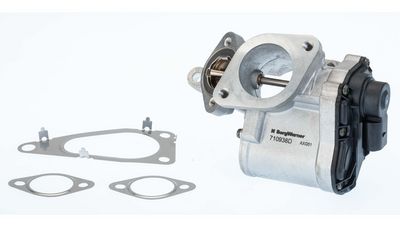 EGR Valve BorgWarner 710938D