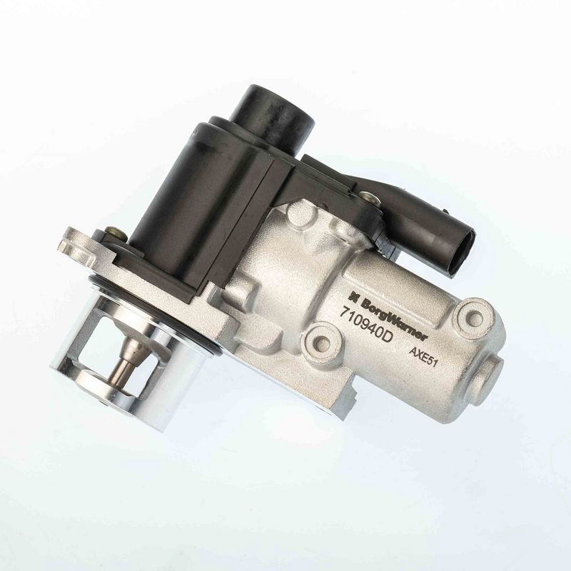 BorgWarner 710940D EGR Valve