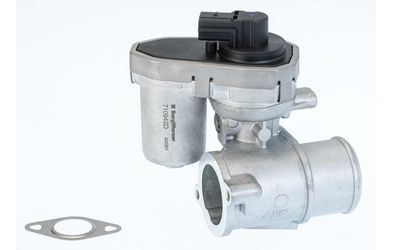 EGR Valve BorgWarner 710942D