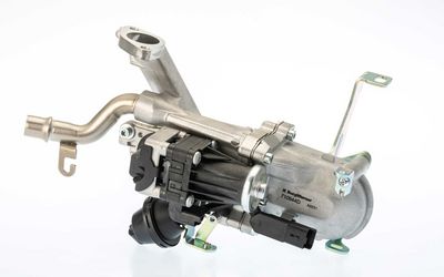 EGR Module BorgWarner 710944D/1