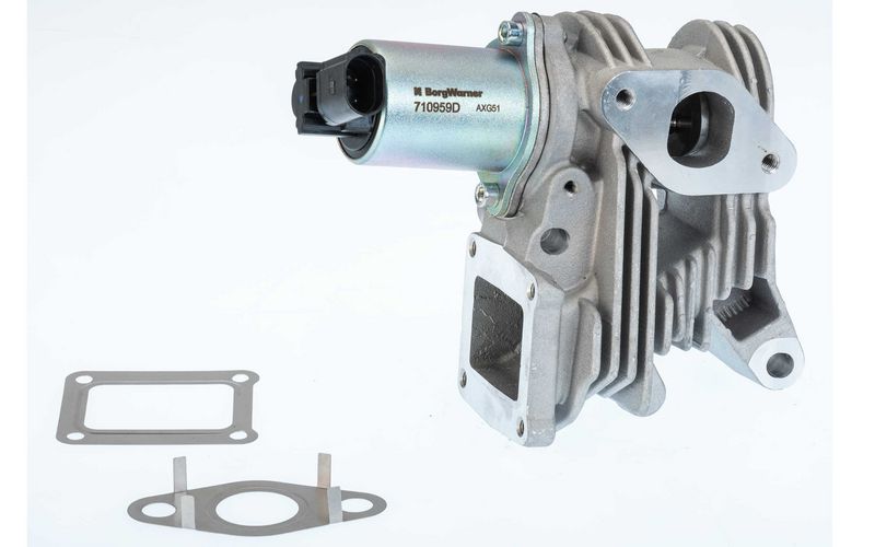 BorgWarner 710959D EGR Valve