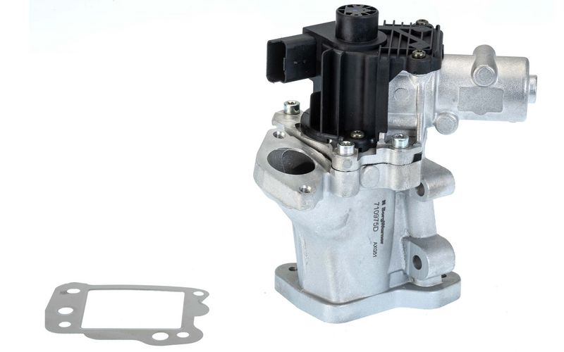 BorgWarner 710975D EGR Valve