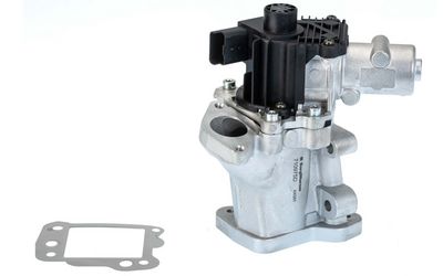 EGR Valve BorgWarner 710975D