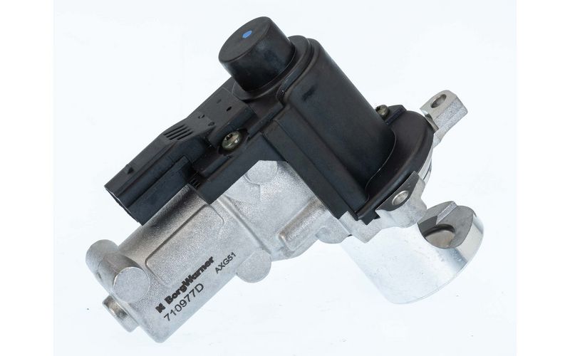 BorgWarner 710977D EGR Valve