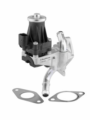EGR Valve BorgWarner 710979D